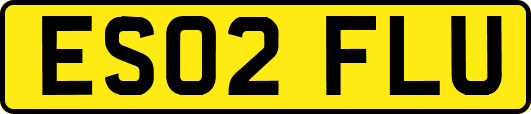 ES02FLU
