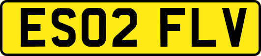 ES02FLV