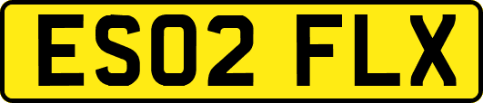 ES02FLX