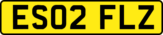 ES02FLZ