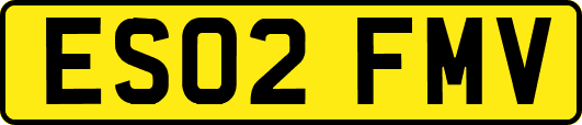 ES02FMV