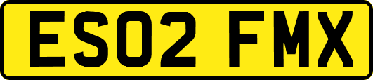 ES02FMX