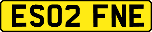 ES02FNE