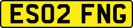 ES02FNG