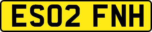 ES02FNH