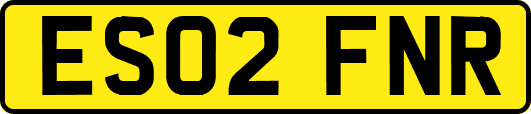 ES02FNR