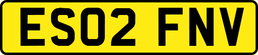 ES02FNV