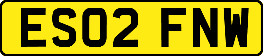 ES02FNW
