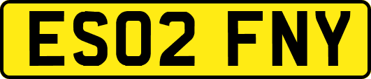 ES02FNY
