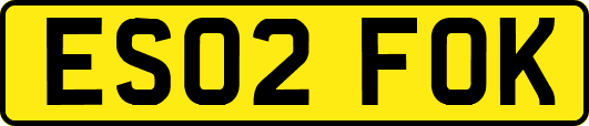 ES02FOK