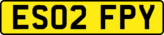ES02FPY