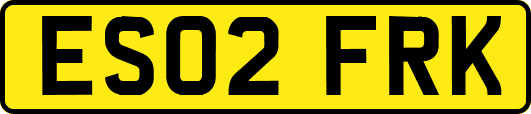 ES02FRK