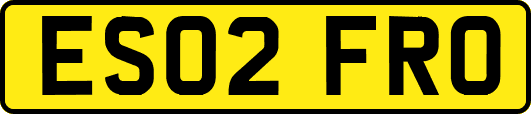 ES02FRO