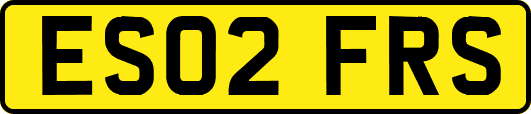 ES02FRS