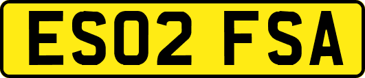 ES02FSA