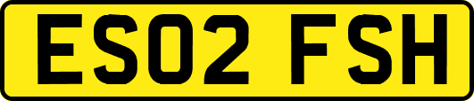 ES02FSH