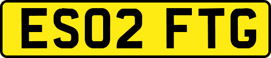 ES02FTG