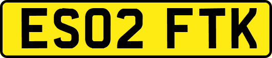 ES02FTK