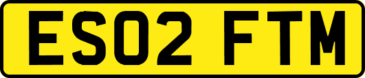 ES02FTM