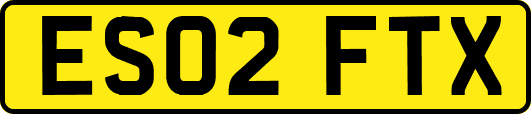 ES02FTX