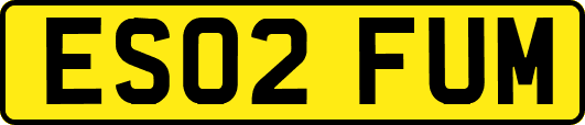 ES02FUM