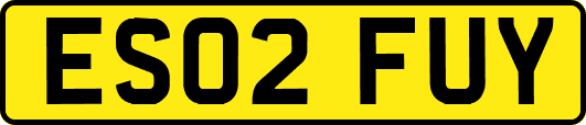 ES02FUY