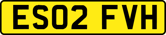 ES02FVH