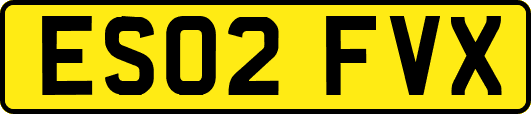 ES02FVX