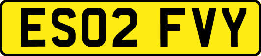 ES02FVY