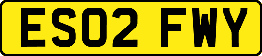ES02FWY