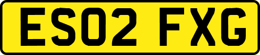 ES02FXG