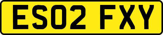 ES02FXY