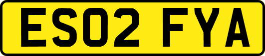 ES02FYA