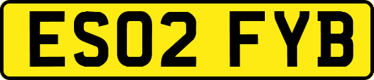 ES02FYB