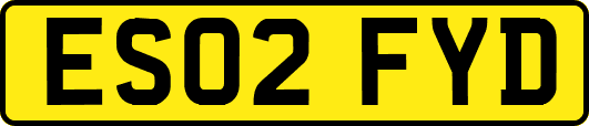 ES02FYD