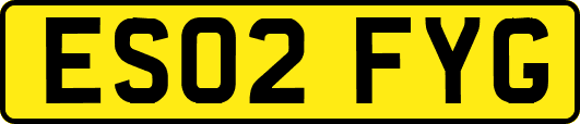 ES02FYG