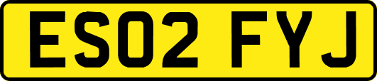 ES02FYJ