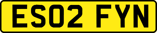 ES02FYN