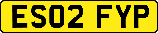 ES02FYP