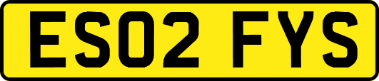 ES02FYS