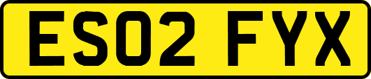 ES02FYX