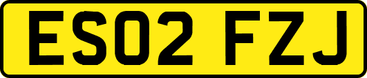 ES02FZJ