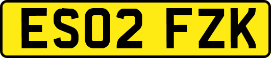 ES02FZK
