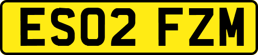 ES02FZM