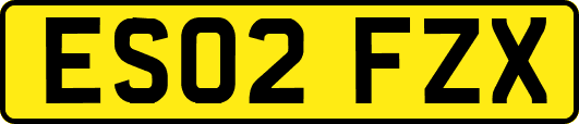 ES02FZX