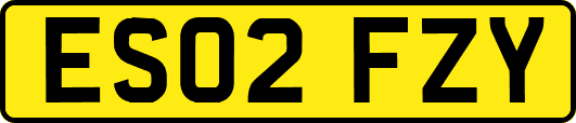 ES02FZY