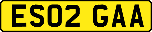 ES02GAA