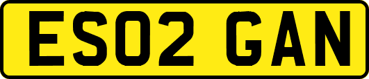 ES02GAN