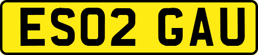 ES02GAU