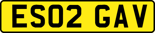 ES02GAV